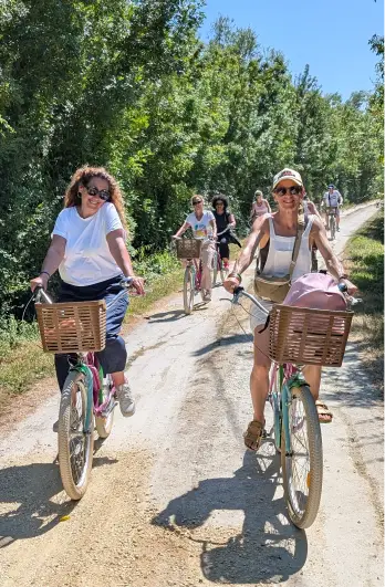 Original Velo Tour Balades A Velo Marais Poitevin Balades A Velo Adaptees Sur Mesure Original Velo Tour Balades A Velo Marais Poitevin Balades A Velo Adaptees Sur Mesure