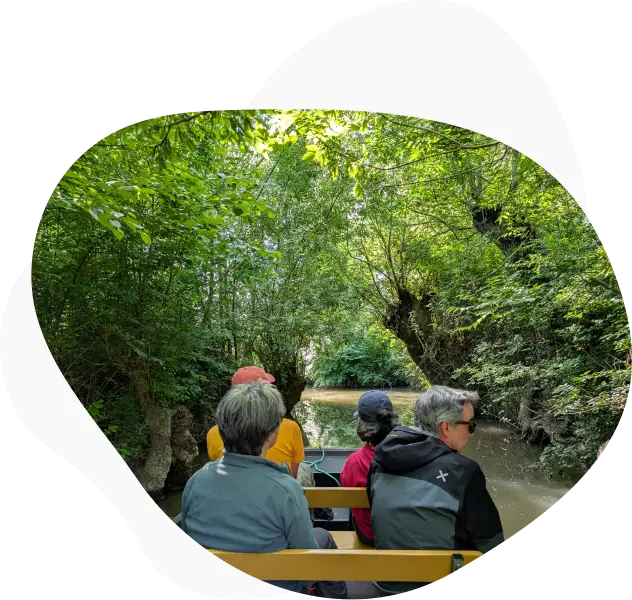 Original Velo Tour Balades A Velo Marais Poitevin Venise Verte