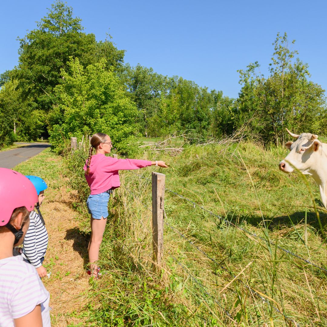 Original Velo Tour Balades A Velo Marais Poitevin 1