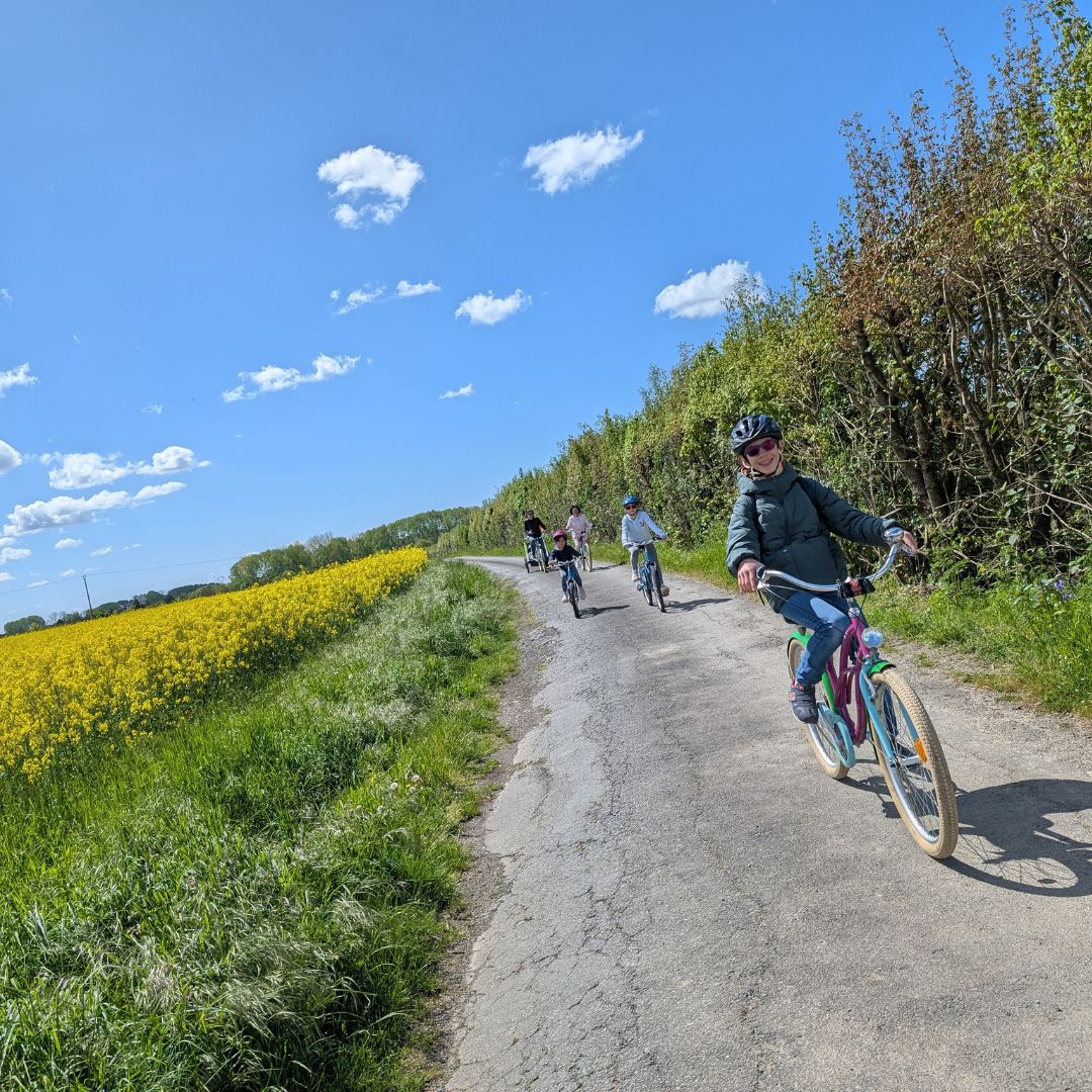 Original Velo Tour Balades A Velo Marais Poitevin 3