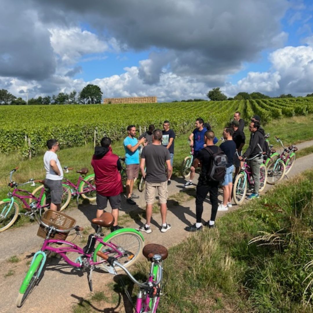 Original Velo Tour Balades A Velo Marais Poitevin 7